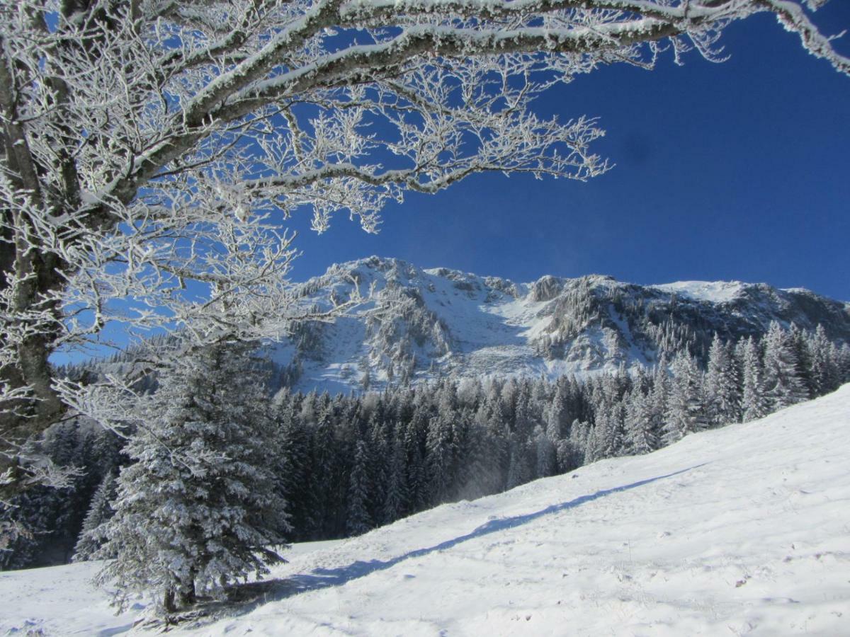 Almgasthaus Seebergalm Turnau ภายนอก รูปภาพ