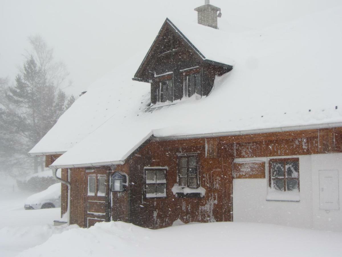 Almgasthaus Seebergalm Turnau ภายนอก รูปภาพ