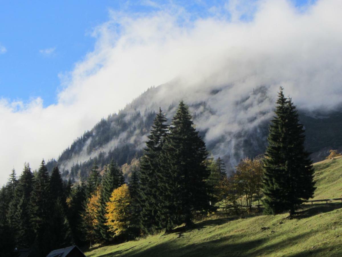 Almgasthaus Seebergalm Turnau ภายนอก รูปภาพ